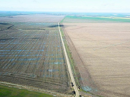 Ingleby Farms (Romania) with a well-drained field on the right